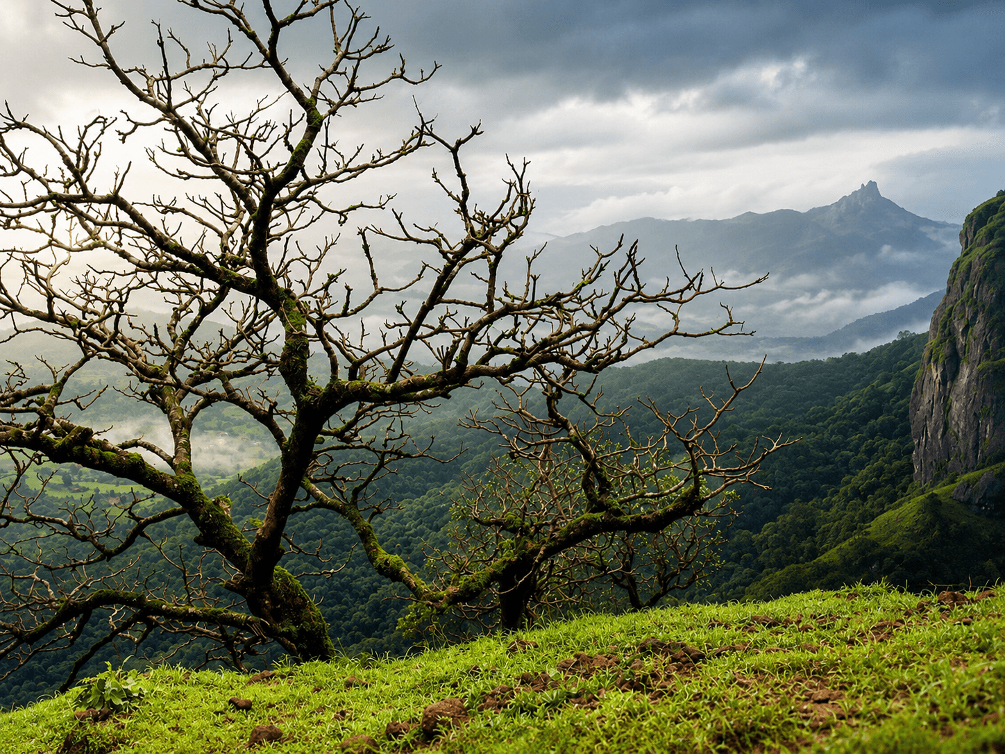 Daringbadi Gopalpur Puri Gallery 3