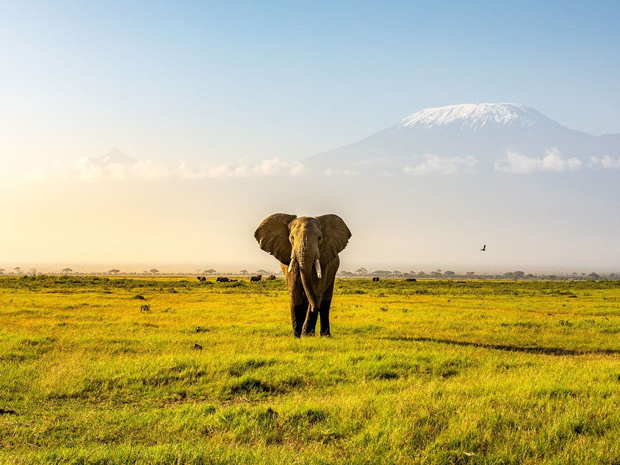 Kenya Gallery 2