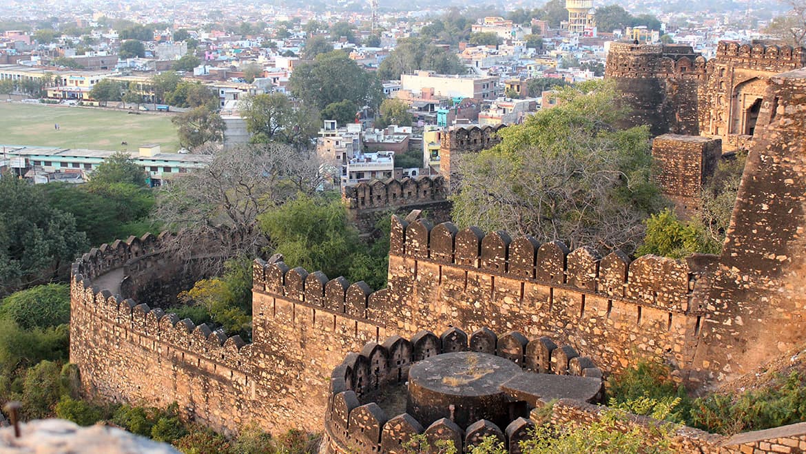 North Madhya Pradesh Heritage & Wildlife Gallery 4