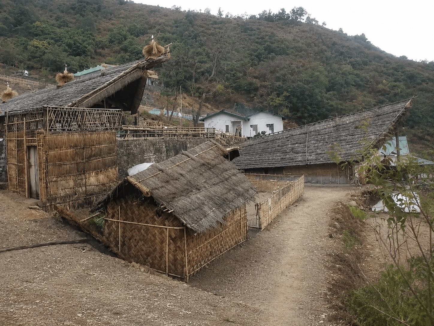 Mizoram Festival Tour Gallery 5